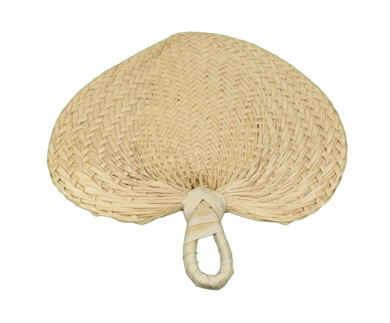 Fun Express 25cm Natural Fans (1 Dozen) - Bulk - Image 3